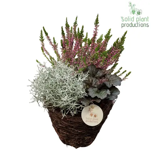 Garten.Arr SBS001 B Small Herbst T20 H030