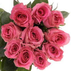 Rose pink Water Game 50cm