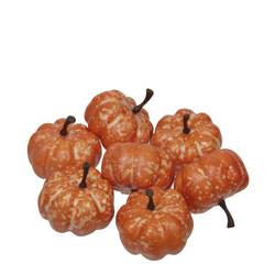 Deko Kürbis mix orange D03.5cm x24