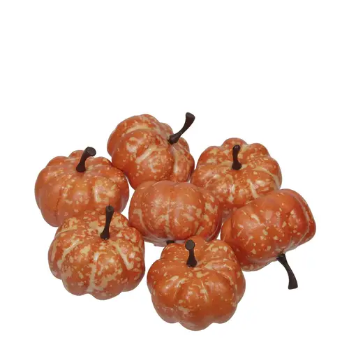 Deko Kürbis mix orange D03.5cm x24