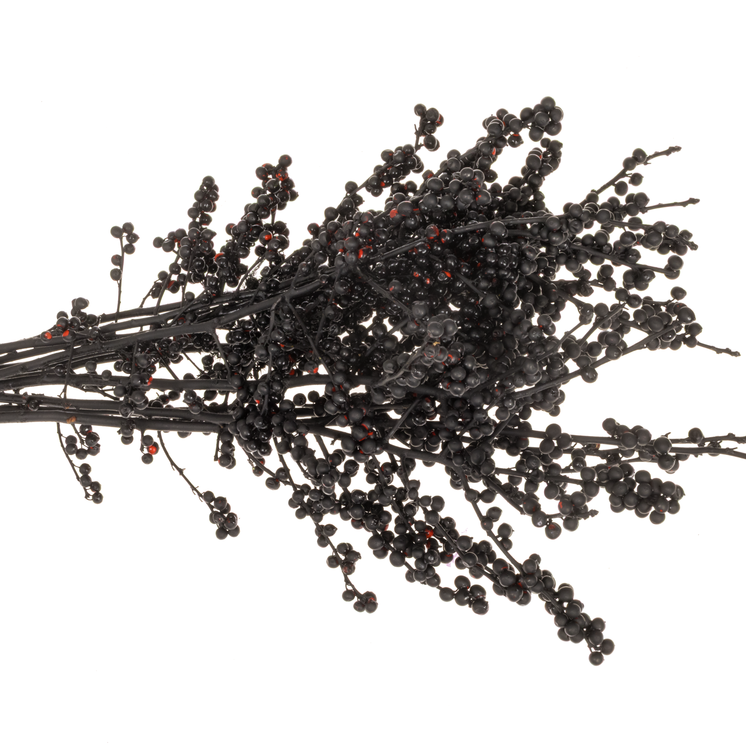 Ilex schwarz gefarbt 70cm