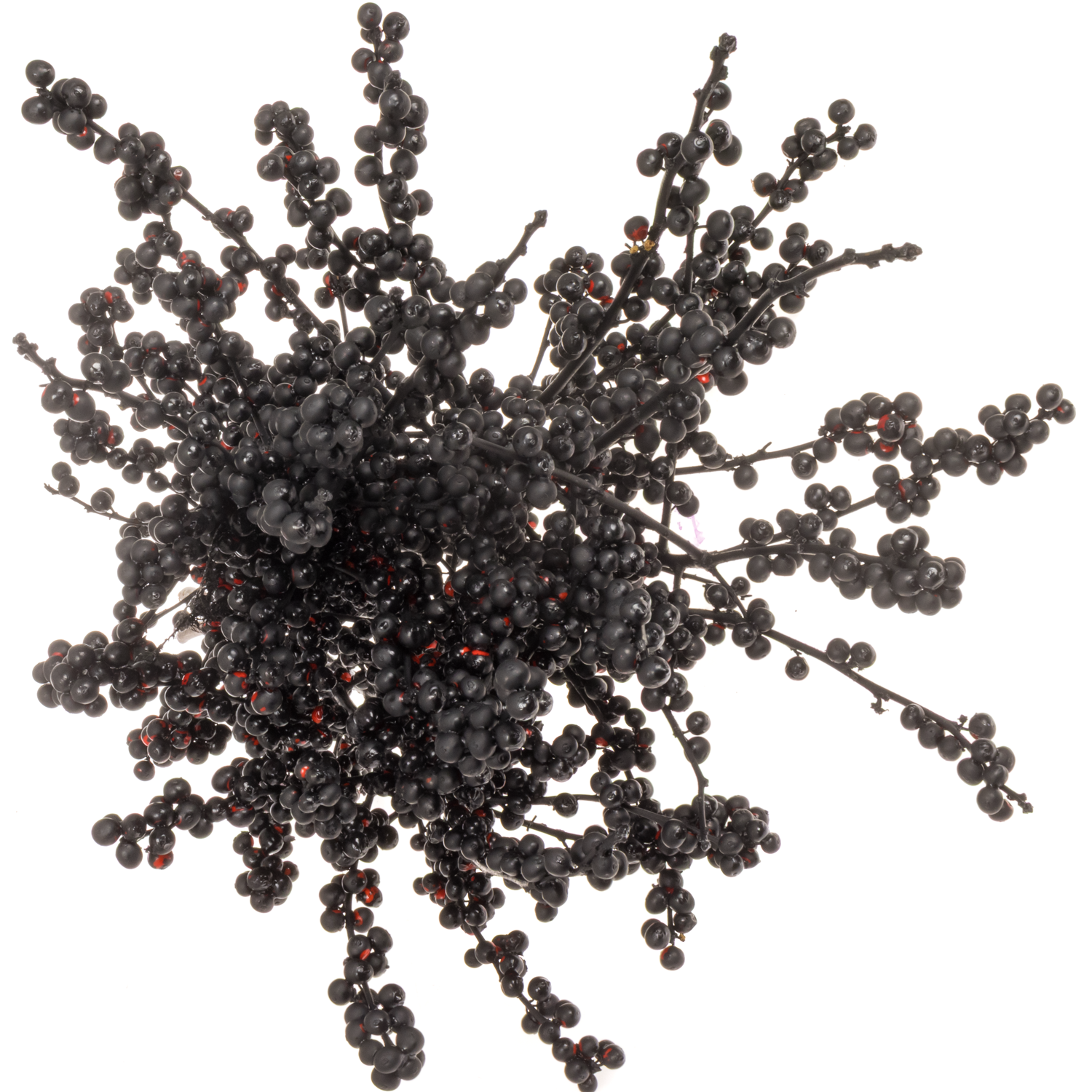 Ilex schwarz gefarbt 70cm