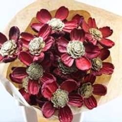 Trocken Zapfenblumen auf Stab rot/gold L55cm x15