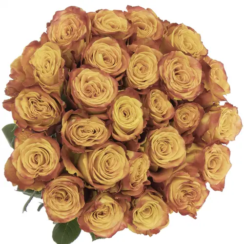 Rose gelb/orange Silantoi (Ec) 40cm