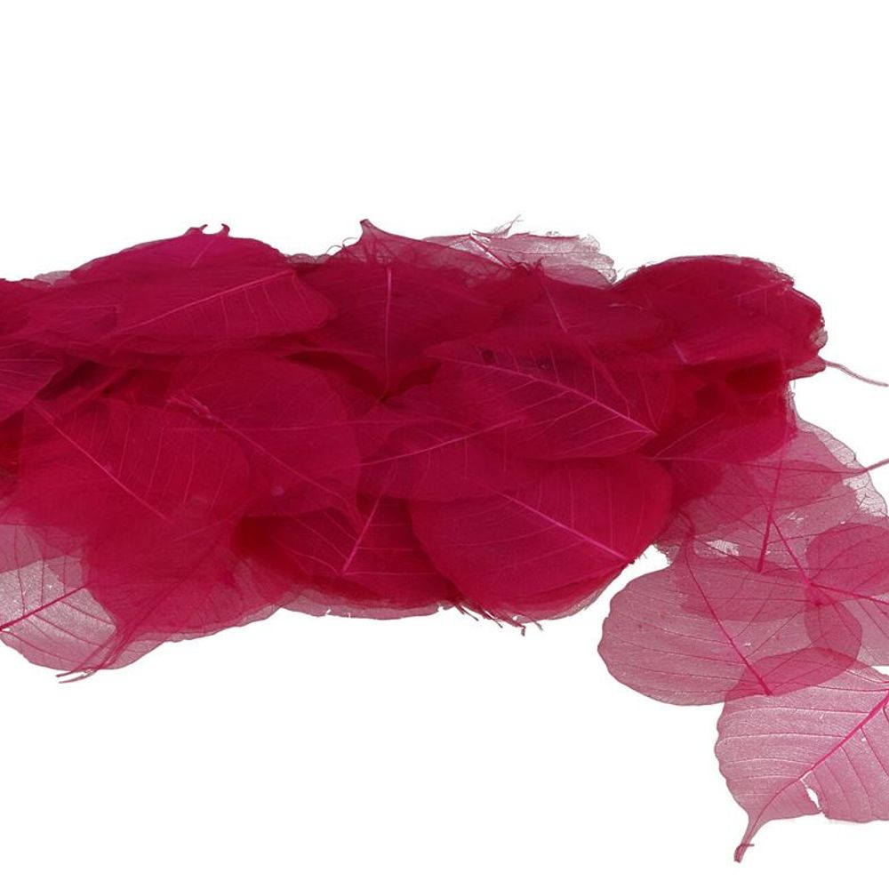 Skeleton Blätter fuchsia x200