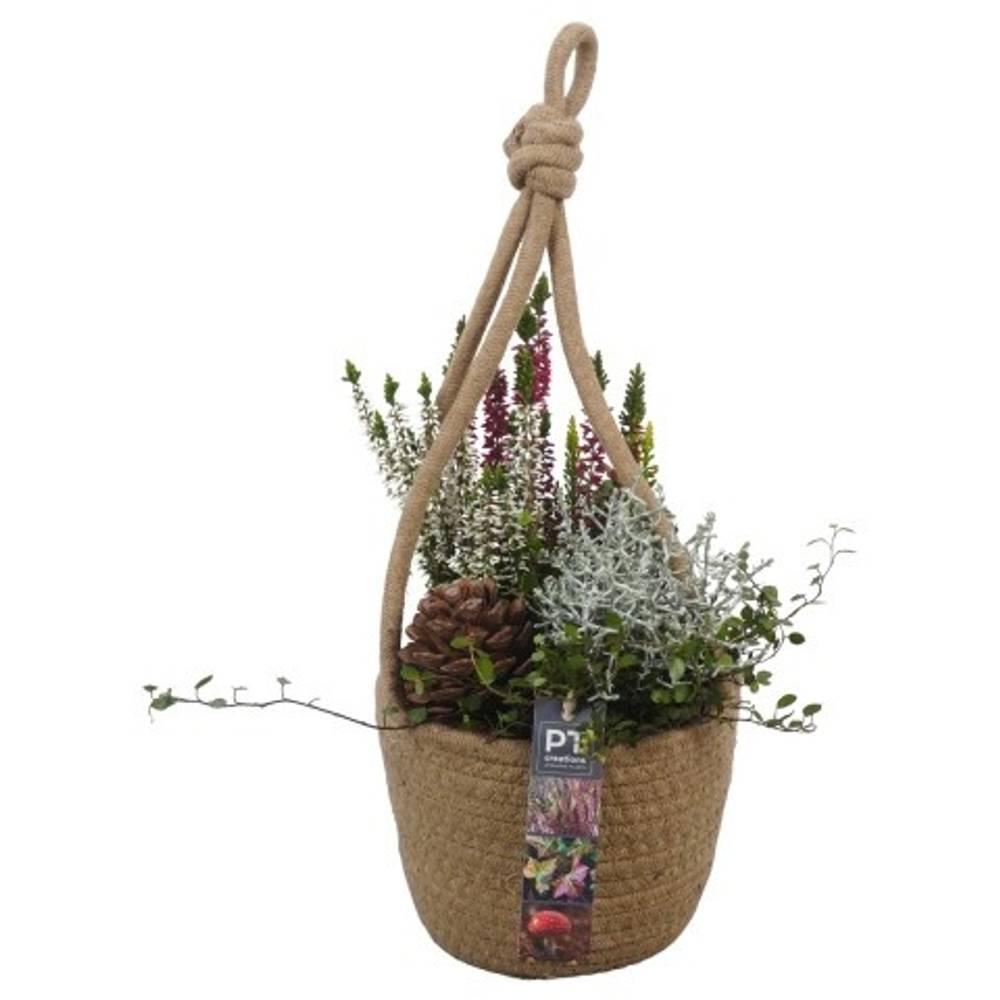 Garten.Arr PTHO4131 Herbst Ampel T18 H032