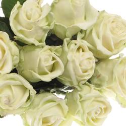 Rose creme/weiss Wachs (W2) 60cm