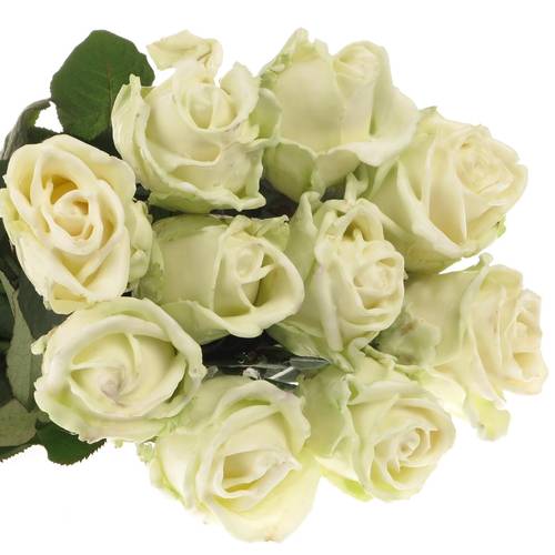 Rose creme/weiss Wachs (W2) 60cm