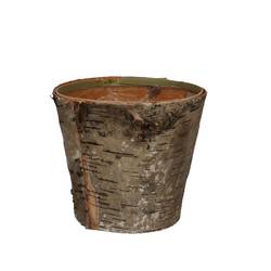 Birke Übertopf natur D14cm H12.5cm