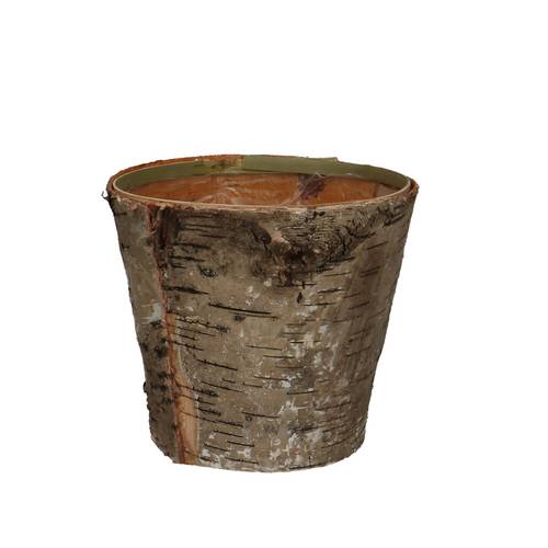 Birke Übertopf natur D14cm H12.5cm
