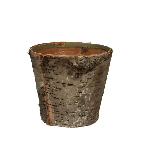 Birke Übertopf natur D14cm H12.5cm