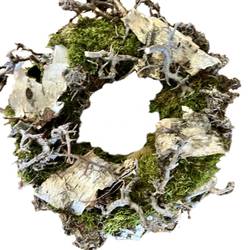 Kranz Bonsai/Birke D25cm (597)