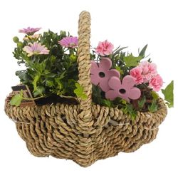 Garten Arr3812 T29 H30