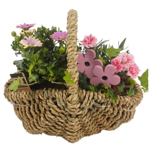 Garten Arr3812 T29 H30