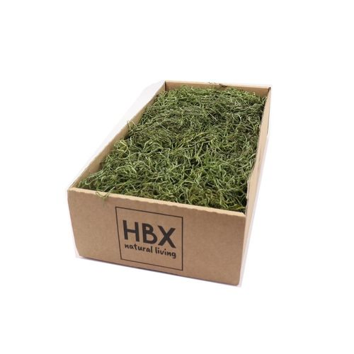 Tillandsia Moos grün 350gr in Karton