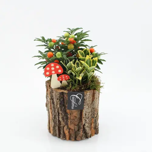 Garten.Arr-2501 Herbst T14 H025