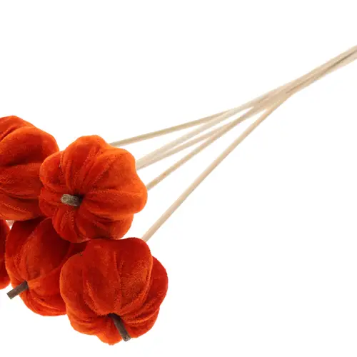 Kürbis samtig auf Stab orange L50cm