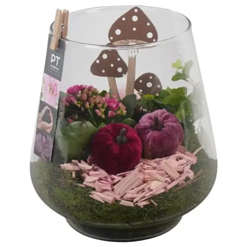 Kal.Arr PTHG3388 Herbst T18 H023
