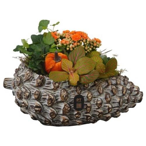 Kal.Arr PTHI3276 Herbst T28 H017