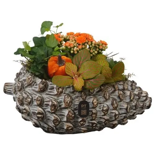 Kal.Arr PTHI3276 Herbst T28 H017