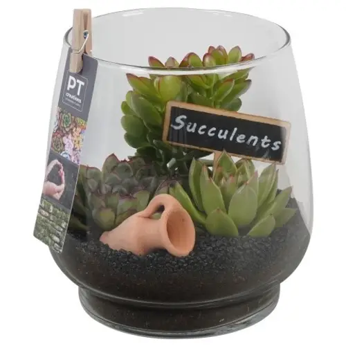 Succ.Arr PTSU8411 T16 H021