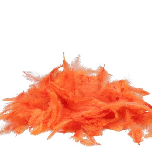 Hühnerfedern orange 20gr