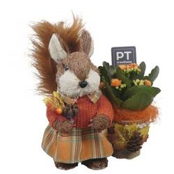 Kal.Arr PTHI5454 Herbst T15 H020