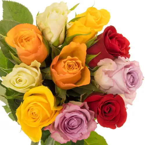 Rose mix 40cm