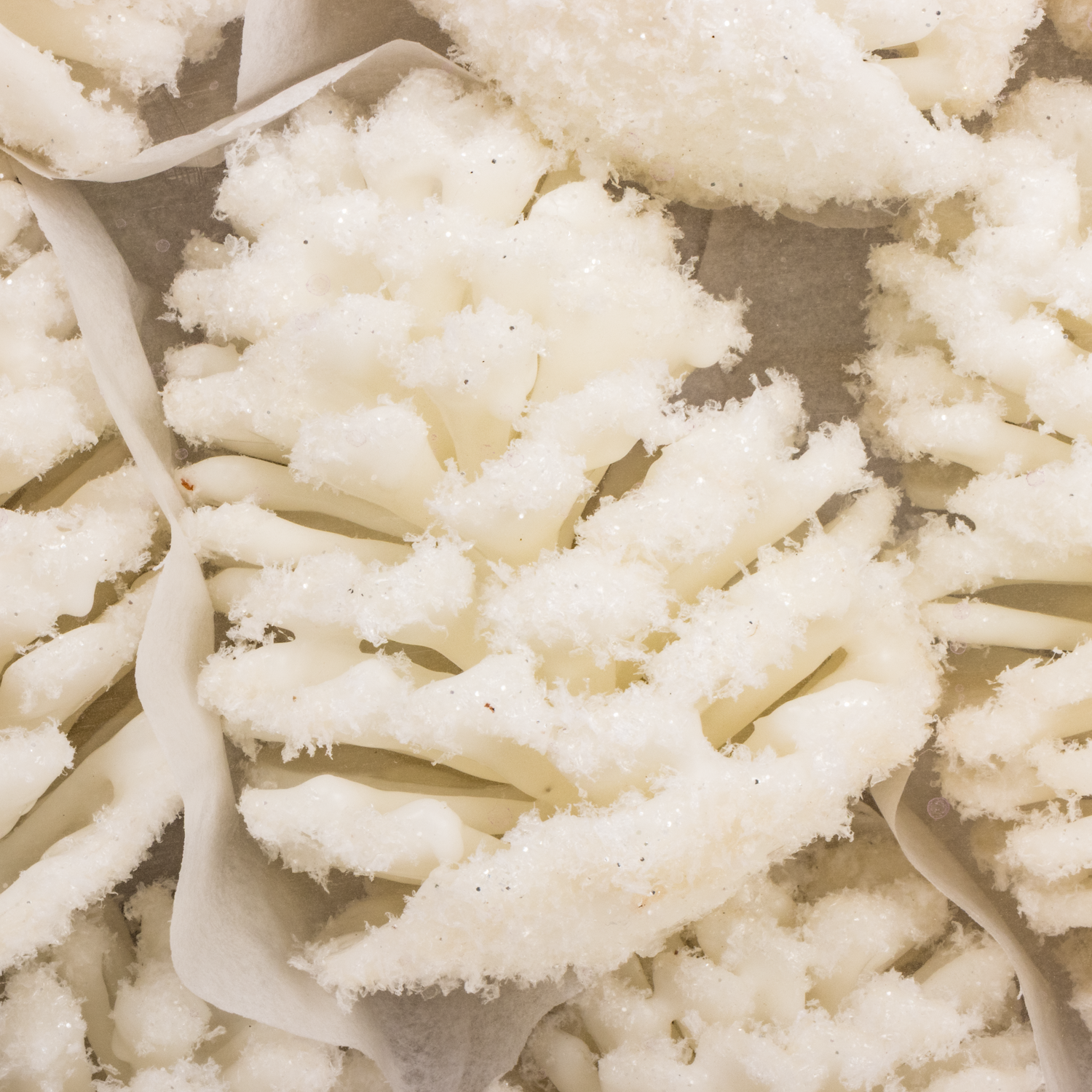 Zapfe weiss Schnee Wachs 9cm