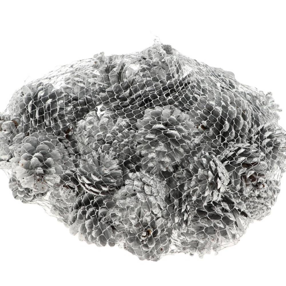 Trocken Pinea silber 1kg