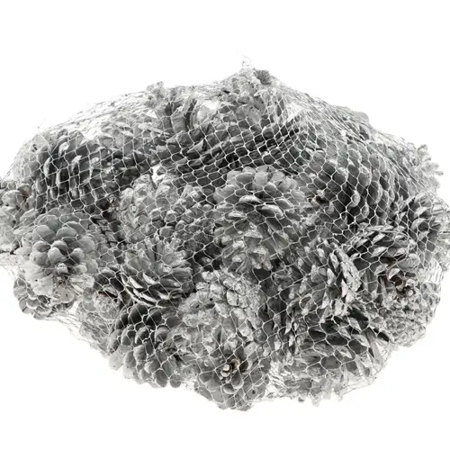 Trocken Pinea silber 1kg