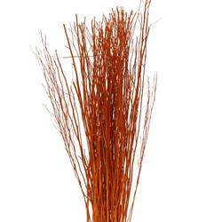 Yanagi Bunch orang L90cm 250gr