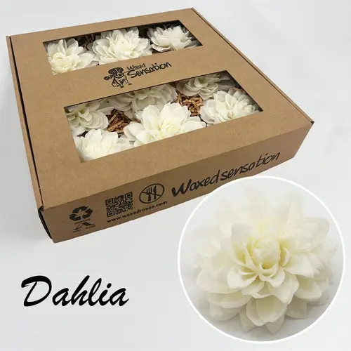 Seiden Wachs Dahlia weiss