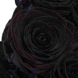 Rose schwarz gefärbt Red Naomi 70cm