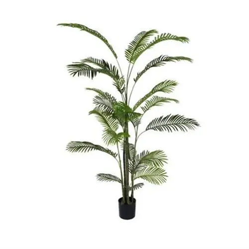 Seiden Areca grün D120cm H220cm