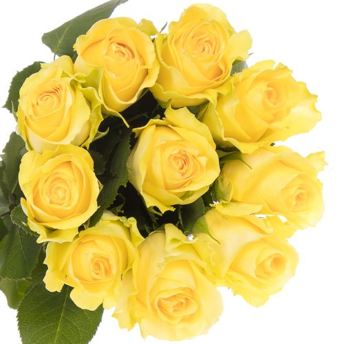 Rose gelb Minion 60cm