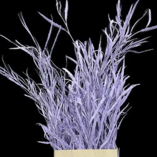 Grevilea milka gefärbt Bündel