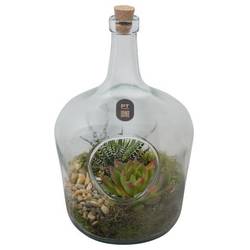 Flor.Arr PTIG2713 T16 H028