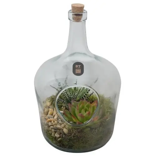 Flor.Arr PTIG2713 T16 H028