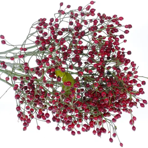 Hagebutte rot Autumn Spirit 70cm