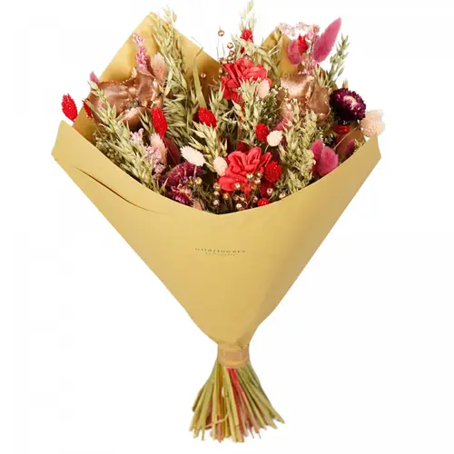Trockenblumen Strauss Classic rot L60cm