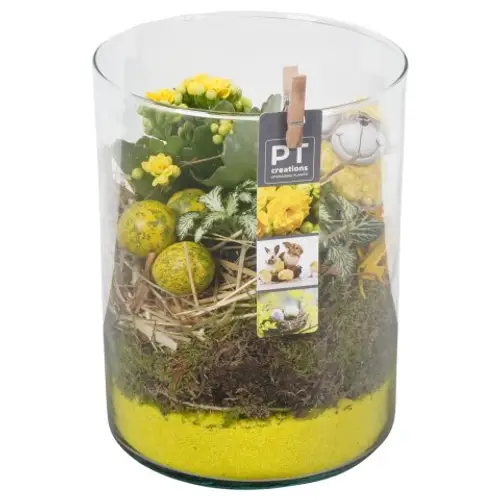 Ostern Arr PTPA8842 T15 H022