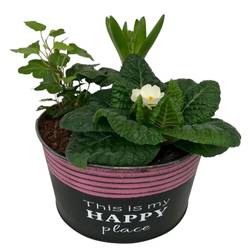 Garten.Arr im Zink Topf Rund 651 T16 H017