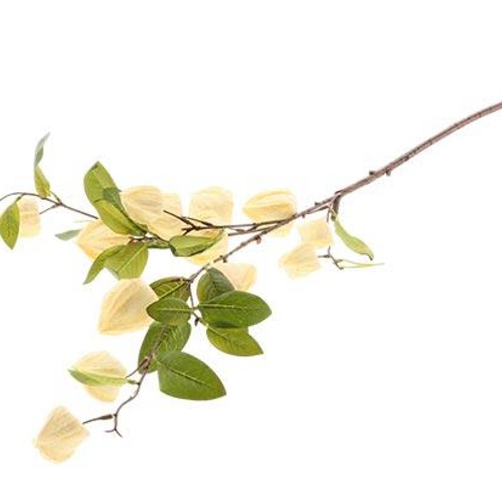 Seiden Physalis creme L94cm