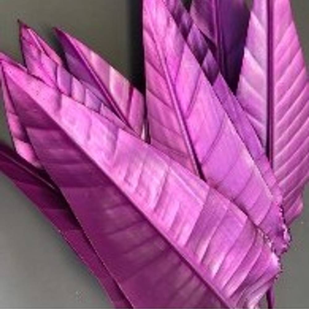 Strelitzia Blatt rosa gefärbt 95cm