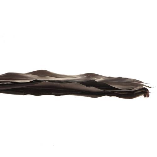 Black Tie Blatt rot 80cm (Orca)