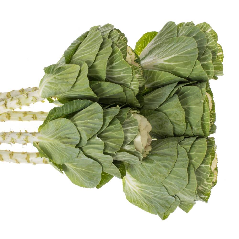 Zierkohl grün/weiss Crane 55cm