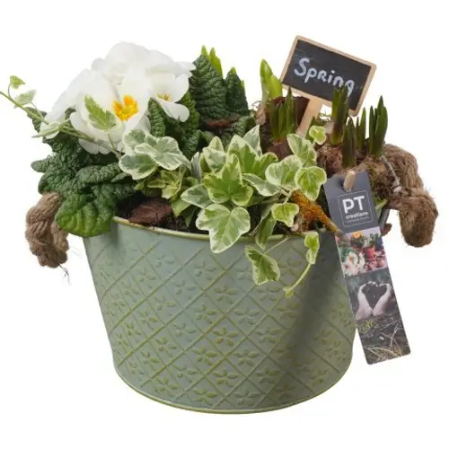 Garten.Arr PTBM3753 T22 H022