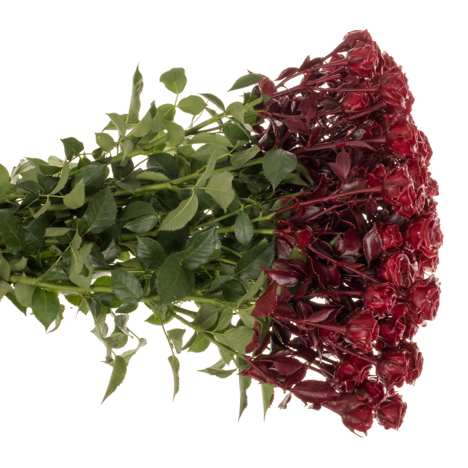 Rose verzweigt weinrot Wachs 60cm