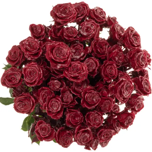 Rose verzweigt weinrot Wachs 60cm